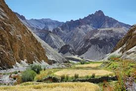 Markha Valley Trek
