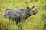 Luxurious Nepal Tour