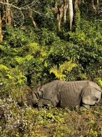 Luxurious Nepal Tour