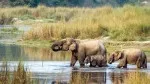 14 Days Budget Nepal Trip