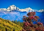 Nepal, Darjeeling and Sikkim Tour