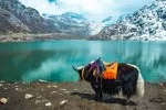 Nepal, Darjeeling and Sikkim Tour